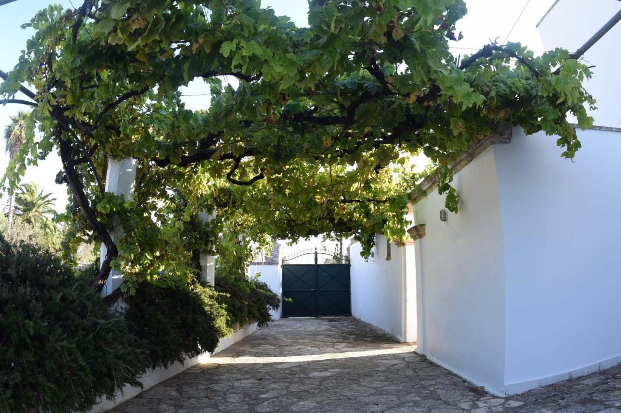 La Giara House ,Near Gallipoli Alezio Exteriér fotografie