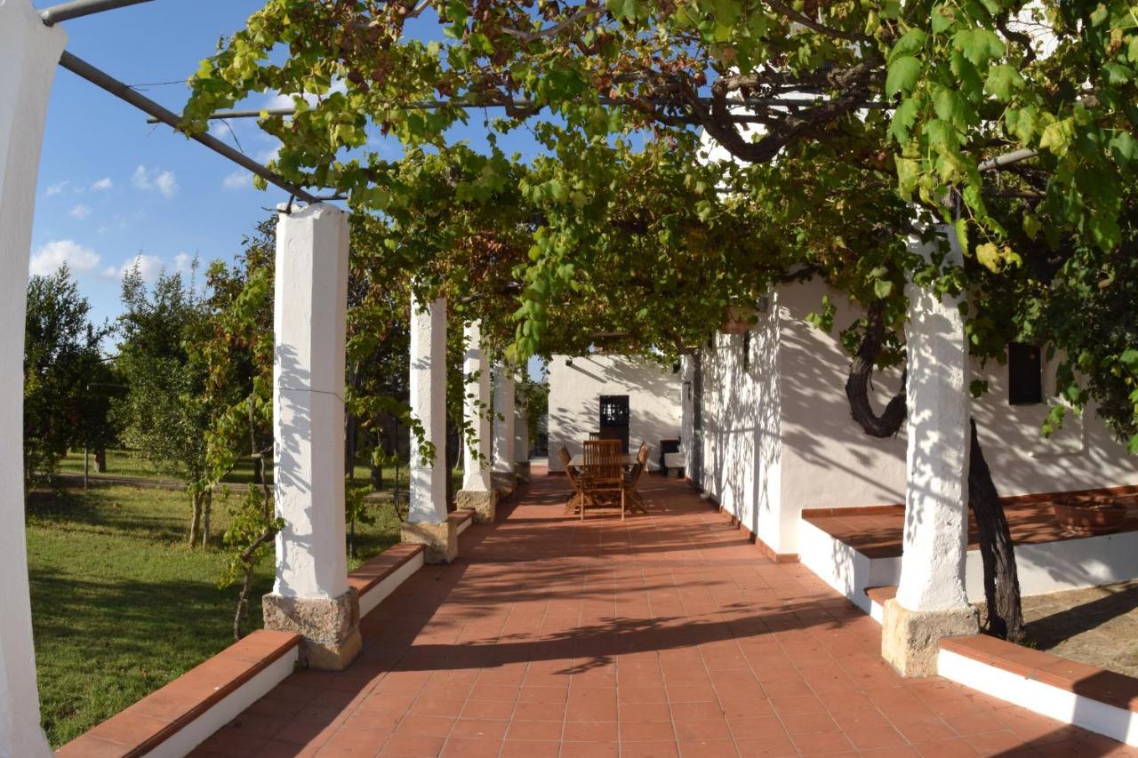La Giara House ,Near Gallipoli Alezio Exteriér fotografie